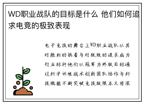 WD职业战队的目标是什么 他们如何追求电竞的极致表现